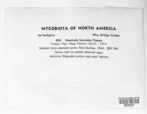 Humicola fuscoatra image